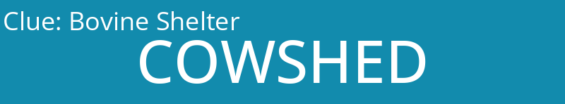Bovine Shelter