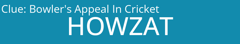 Bowler's Appeal In Cricket