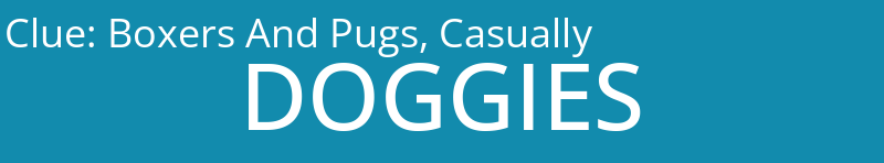 Boxers And Pugs, Casually