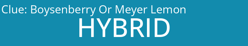 Boysenberry Or Meyer Lemon
