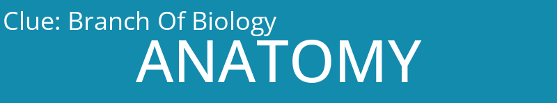 Branch Of Biology