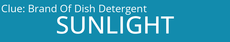 Brand Of Dish Detergent