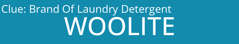 Brand Of Laundry Detergent