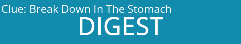 Break Down In The Stomach