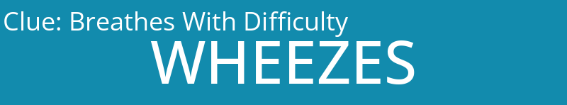 Breathes With Difficulty