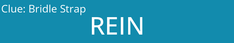 Bridle Strap