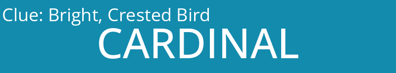 Bright, Crested Bird