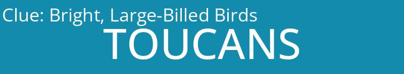 Bright, Large-Billed Birds