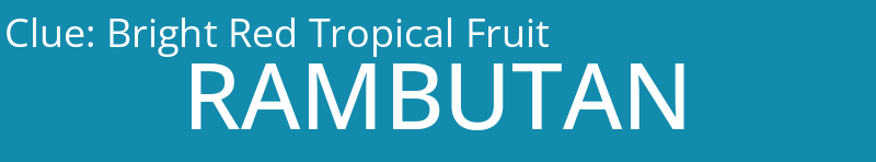 Bright Red Tropical Fruit