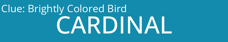 Brightly Colored Bird
