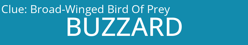 Broad-Winged Bird Of Prey