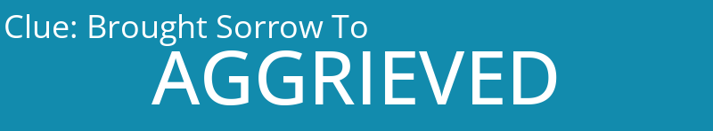 Brought Sorrow To