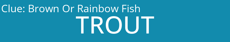 Brown Or Rainbow Fish