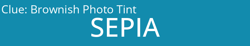 Brownish Photo Tint