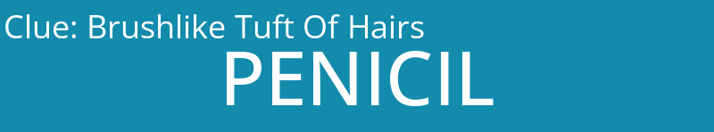 Brushlike Tuft Of Hairs
