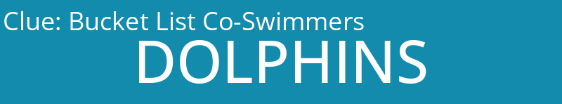 Bucket List Co-Swimmers
