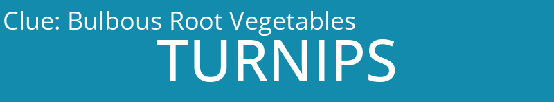 Bulbous Root Vegetables