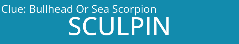 Bullhead Or Sea Scorpion