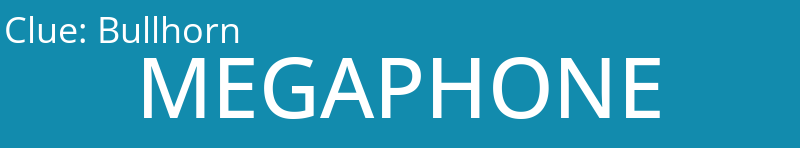 Bullhorn