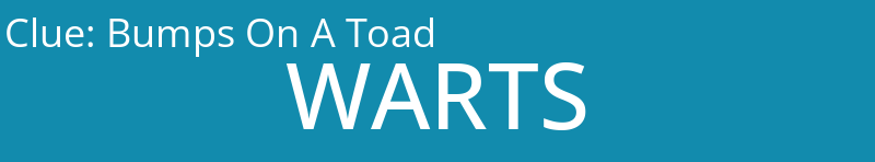 Bumps On A Toad
