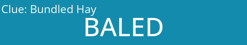 Bundled Hay