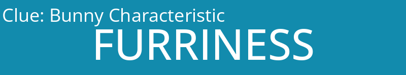 Bunny Characteristic