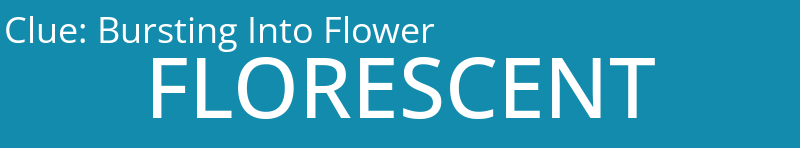 Bursting Into Flower