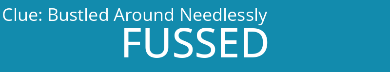 Bustled Around Needlessly