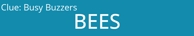 Busy Buzzers