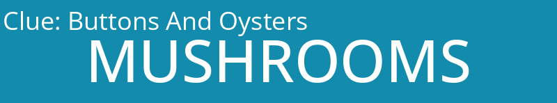 Buttons And Oysters