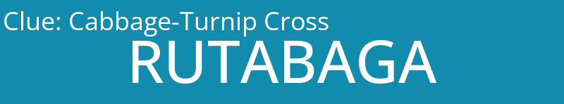 Cabbage-Turnip Cross
