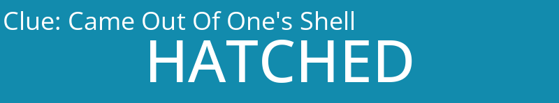 Came Out Of One's Shell