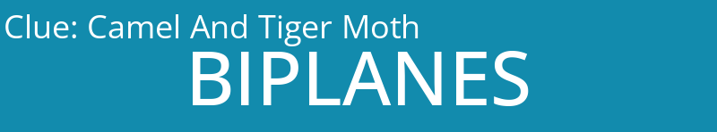 Camel And Tiger Moth