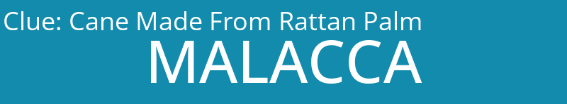 Cane Made From Rattan Palm