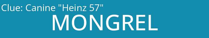 Canine "Heinz 57"