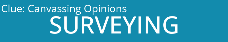 Canvassing Opinions