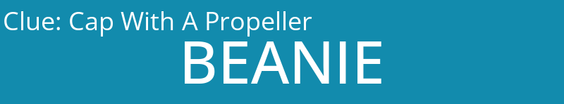Cap With A Propeller