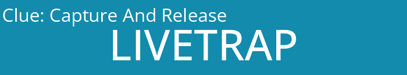 Capture And Release