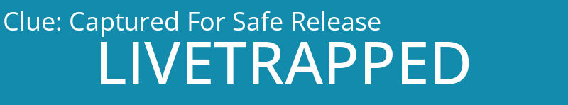 Captured For Safe Release