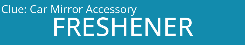 Car Mirror Accessory