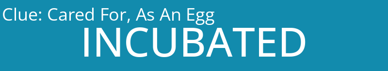Cared For, As An Egg