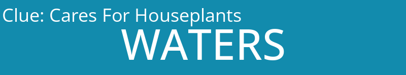 Cares For Houseplants