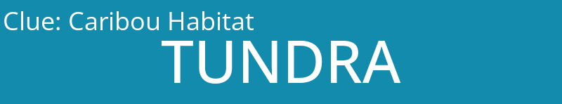 Caribou Habitat