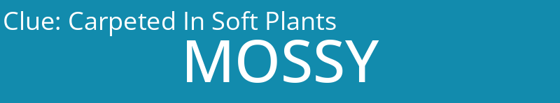 Carpeted In Soft Plants