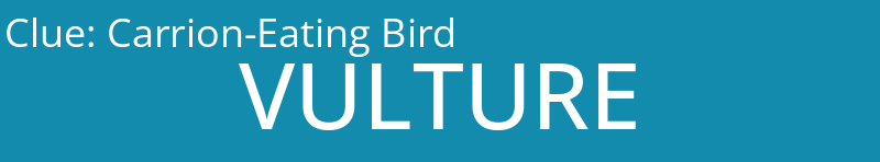Carrion-Eating Bird