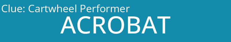 Cartwheel Performer