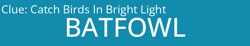 Catch Birds In Bright Light