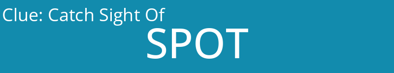 Catch Sight Of