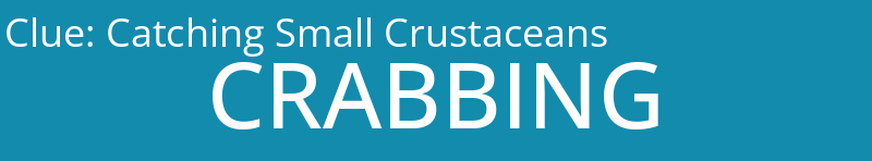 Catching Small Crustaceans