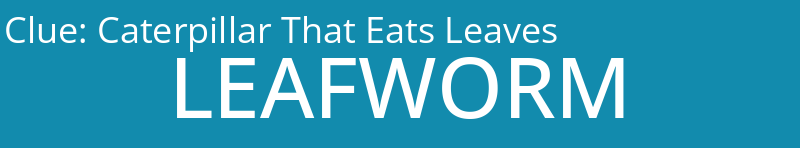 Caterpillar That Eats Leaves